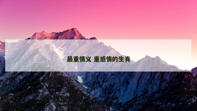 最重情义 重感情的生肖