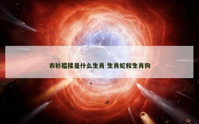 衣衫褴褛是什么生肖 生肖蛇和生肖狗