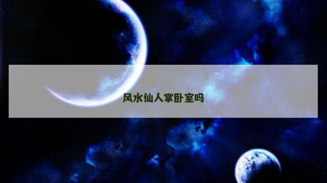 风水仙人掌卧室吗