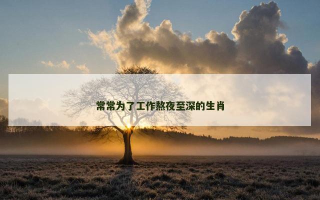 常常为了工作熬夜至深的生肖