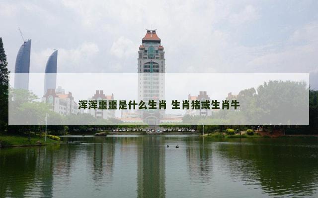 浑浑噩噩是什么生肖 生肖猪或生肖牛