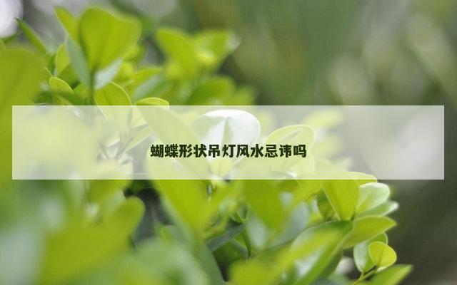 蝴蝶形状吊灯风水忌讳吗