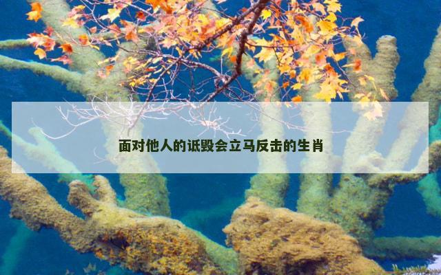 面对他人的诋毁会立马反击的生肖