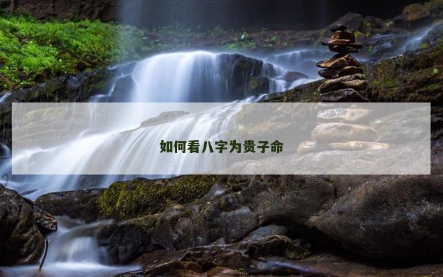 如何看八字为贵子命