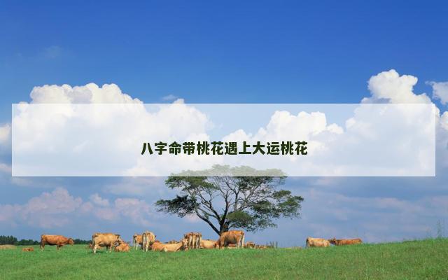 八字命带桃花遇上大运桃花