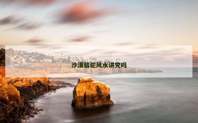 沙漠骆驼风水讲究吗