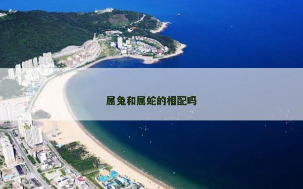 属兔和属蛇的相配吗