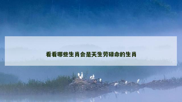 看看哪些生肖会是天生劳碌命的生肖