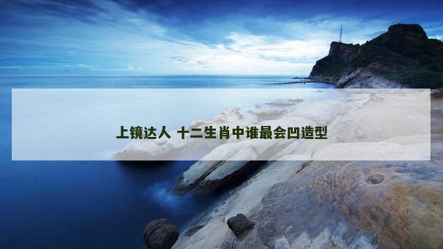 上镜达人 十二生肖中谁最会凹造型