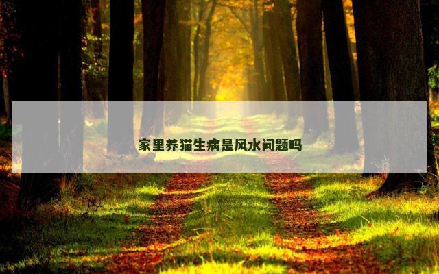 家里养猫生病是风水问题吗