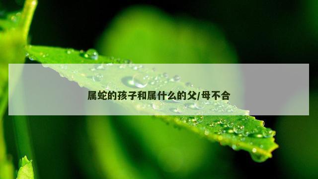 属蛇的孩子和属什么的父/母不合