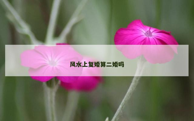 风水上复婚算二婚吗