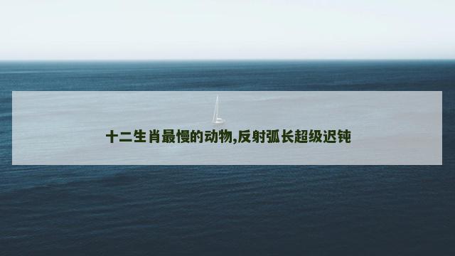 十二生肖最慢的动物,反射弧长超级迟钝