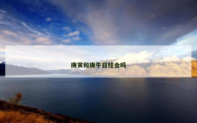 庚寅和庚午日柱合吗