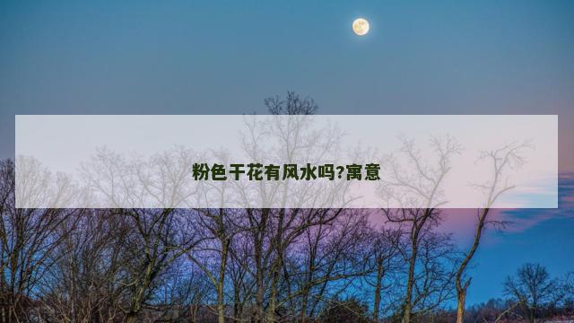 粉色干花有风水吗?寓意