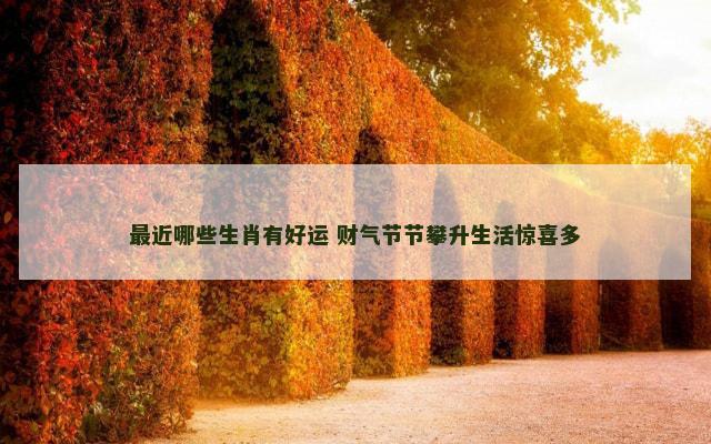 最近哪些生肖有好运 财气节节攀升生活惊喜多