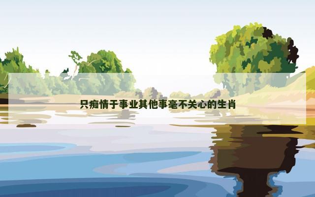 只痴情于事业其他事毫不关心的生肖