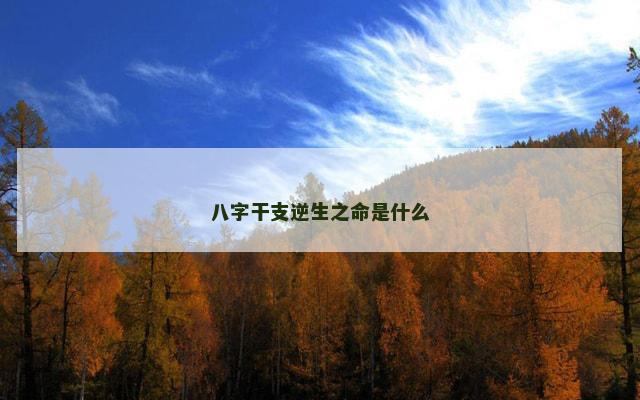 八字干支逆生之命是什么