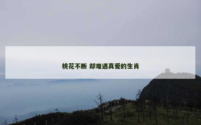 桃花不断 却难遇真爱的生肖