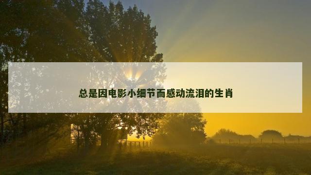 总是因电影小细节而感动流泪的生肖