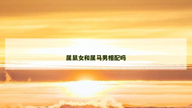 属鼠女和属马男相配吗