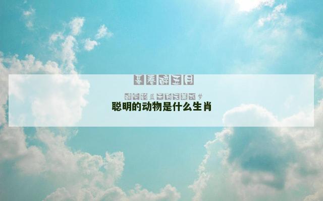 聪明的动物是什么生肖
