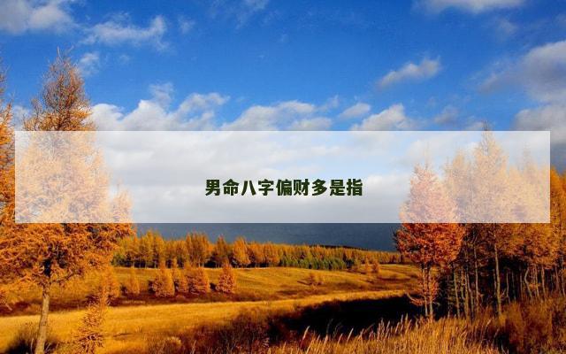 男命八字偏财多是指