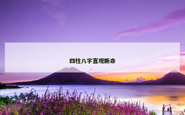 四柱八字直观断命