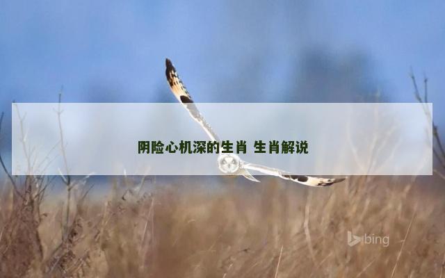 阴险心机深的生肖 生肖解说