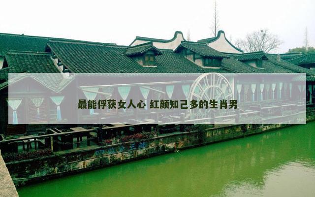最能俘获女人心 红颜知己多的生肖男
