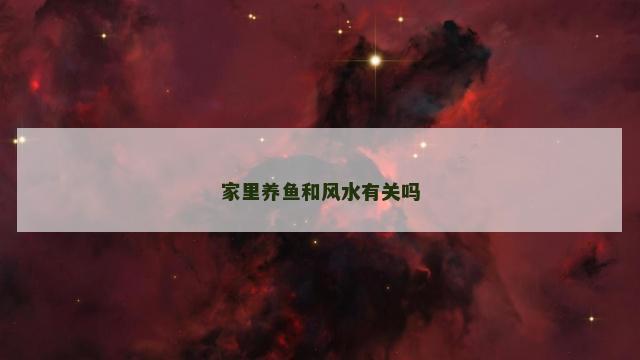 家里养鱼和风水有关吗