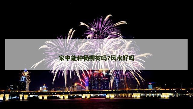 家中能种杨柳树吗?风水好吗