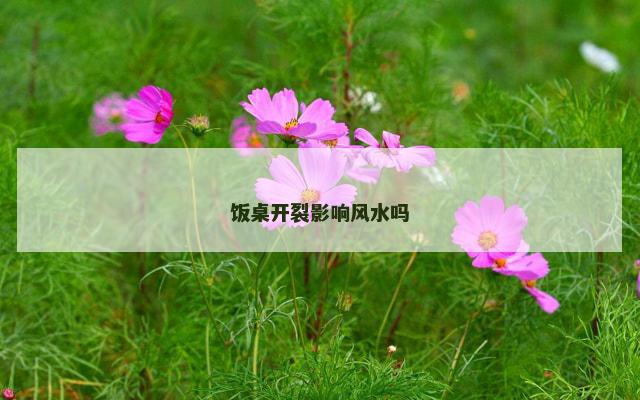 饭桌开裂影响风水吗
