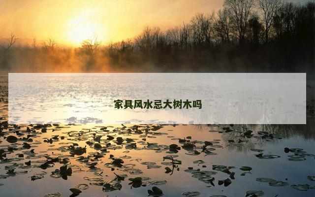家具风水忌大树木吗