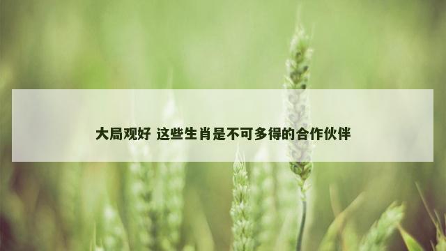 大局观好 这些生肖是不可多得的合作伙伴