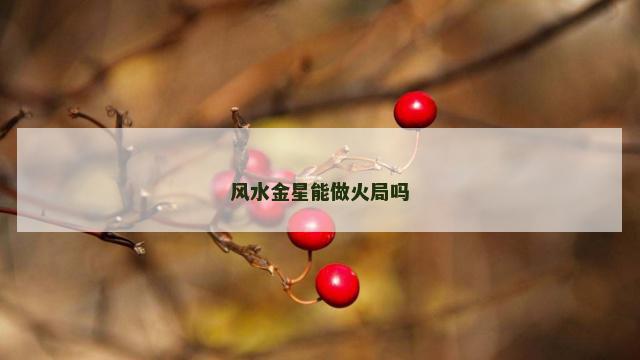 风水金星能做火局吗