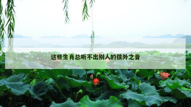 这些生肖总听不出别人的弦外之音