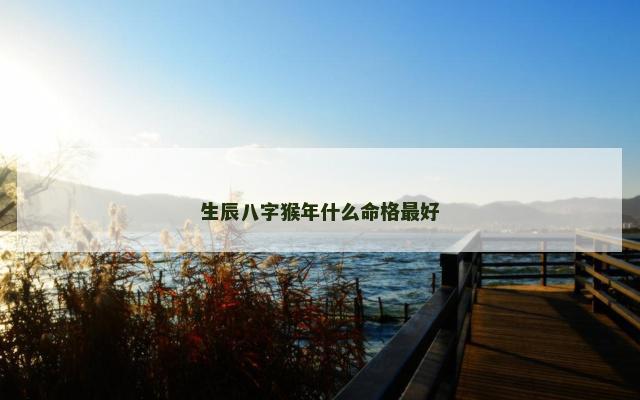 生辰八字猴年什么命格最好