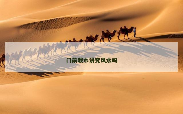 门前栽木讲究风水吗