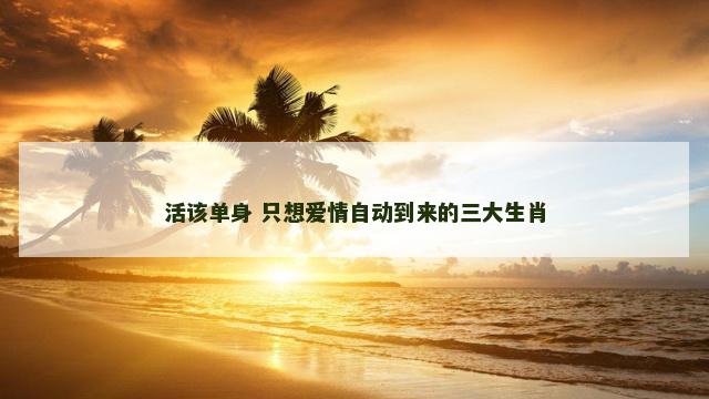 活该单身 只想爱情自动到来的三大生肖