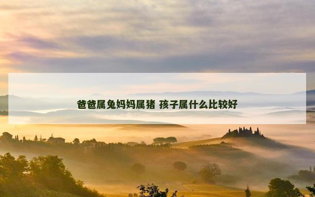 爸爸属兔妈妈属猪 孩子属什么比较好