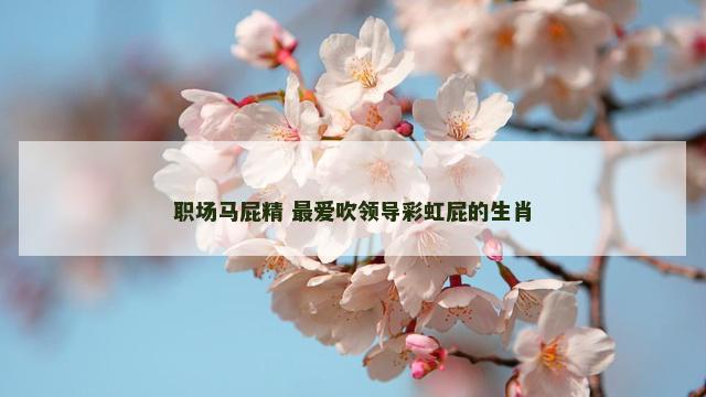 职场马屁精 最爱吹领导彩虹屁的生肖