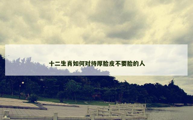 十二生肖如何对待厚脸皮不要脸的人