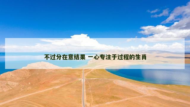 不过分在意结果 一心专注于过程的生肖