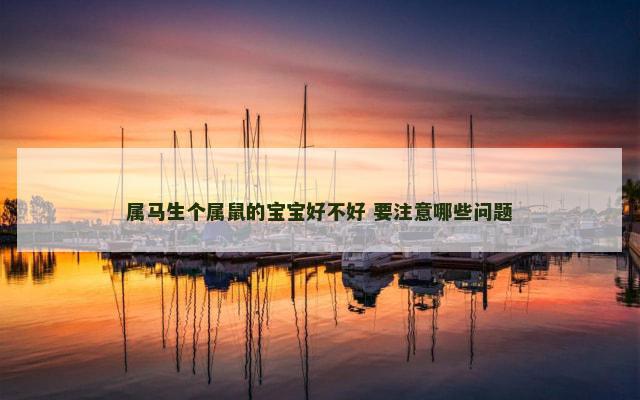 属马生个属鼠的宝宝好不好 要注意哪些问题