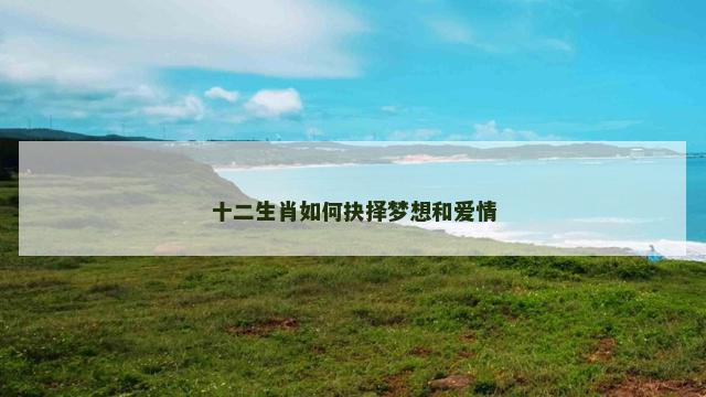 十二生肖如何抉择梦想和爱情