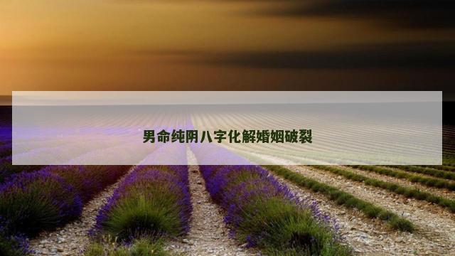 男命纯阴八字化解婚姻破裂