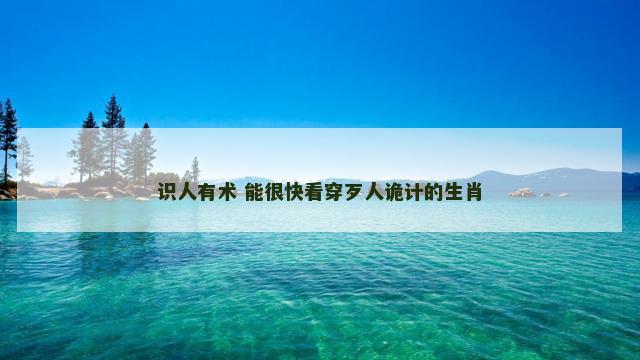 识人有术 能很快看穿歹人诡计的生肖