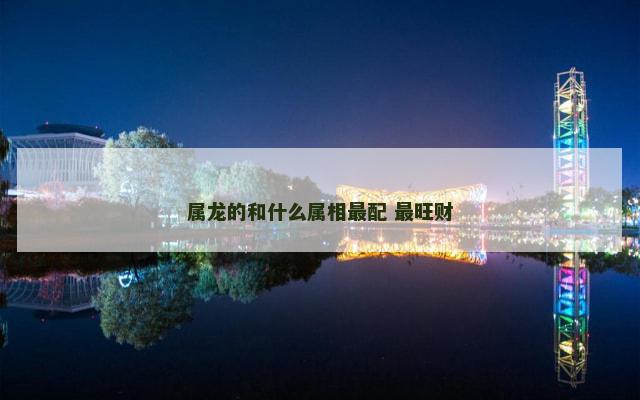 属龙的和什么属相最配 最旺财