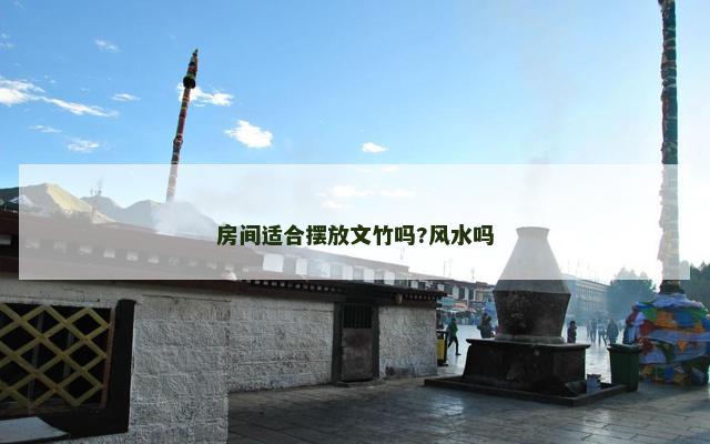 房间适合摆放文竹吗?风水吗